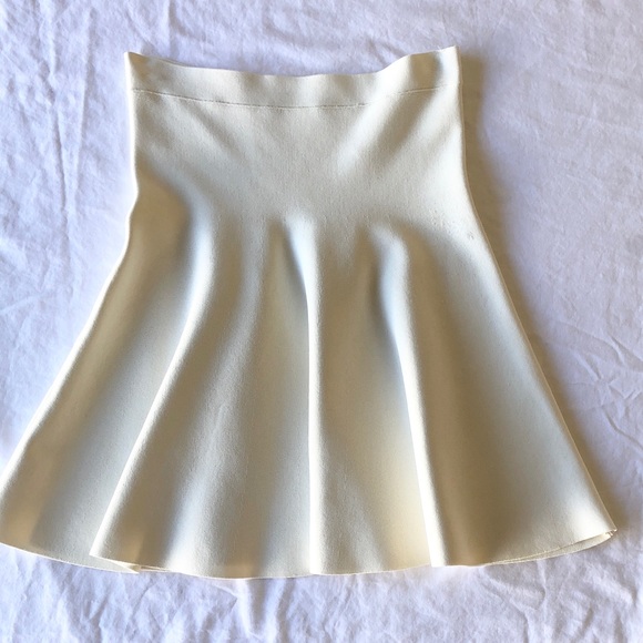 Gardenia BCBG A-Line Skirt - Picture 2 of 5